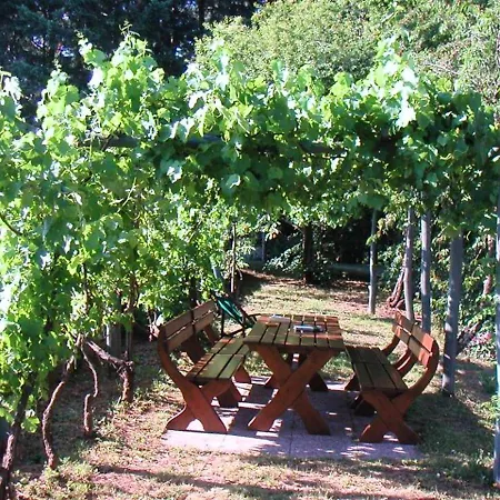 Vila Spacious In With Private Pool And Mountain View Barga